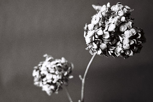 プロフィールへ